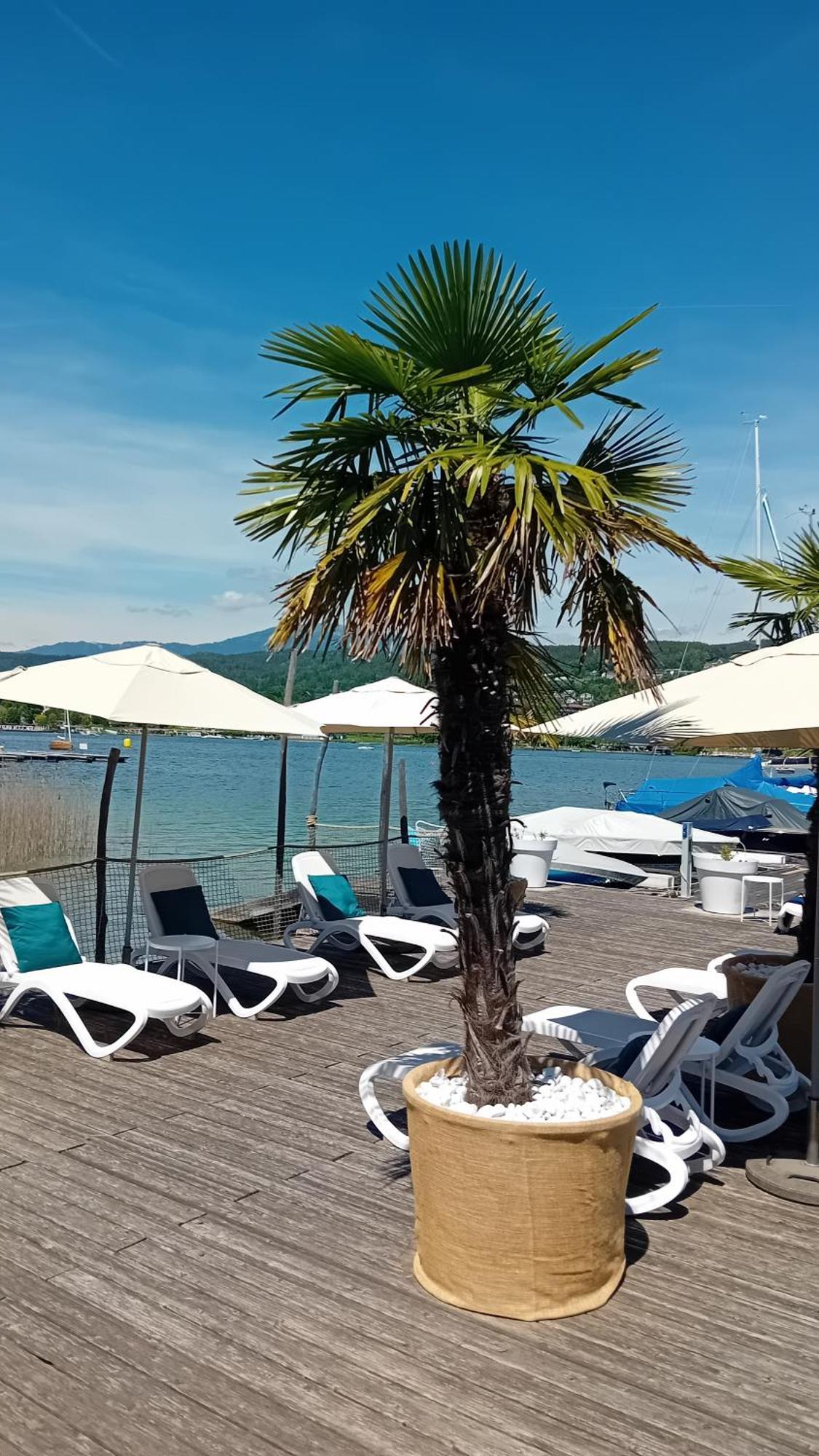 Tennis & Yacht Hotel Velden Velden am Wörthersee Eksteriør billede